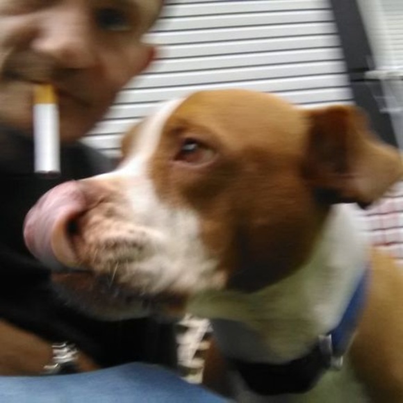 Meet your Posher, Michael - Picture 1 of 1